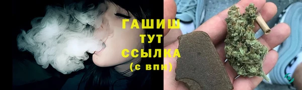дмт Богородицк