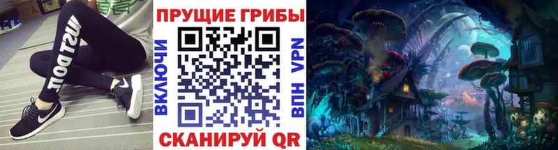 Купить  Аркадак  Псилоцибиновые грибы мицелий 